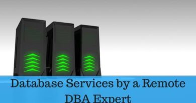 Database Services by a Remote DBA Expert
