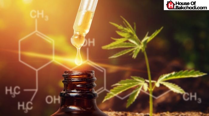 how long does it take cbd to work