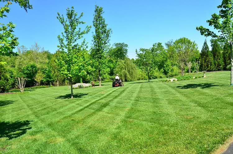 Landscaping with lawn care