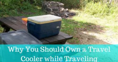 Why You Should Own a Travel Cooler while Traveling