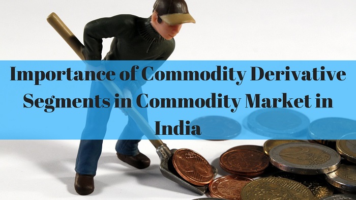 Importance of Commodity Derivative Segments in Commodity Market in India