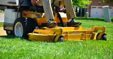 Veteran Owned Lawn Care Company