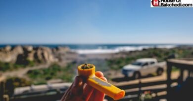 Tips for A Successful First Weed-Cation