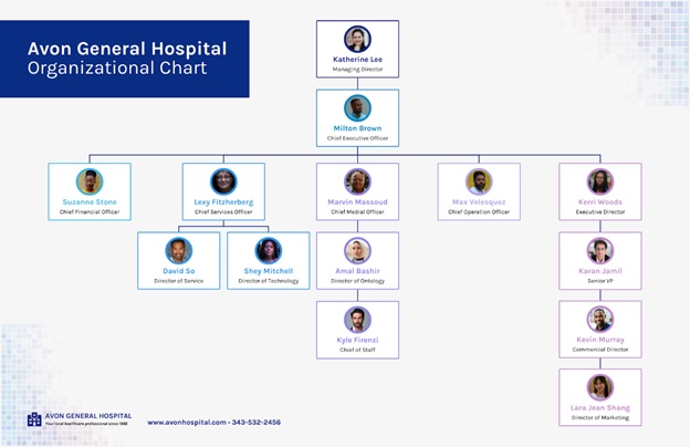 Corporate Hospital Organizational Chart Template