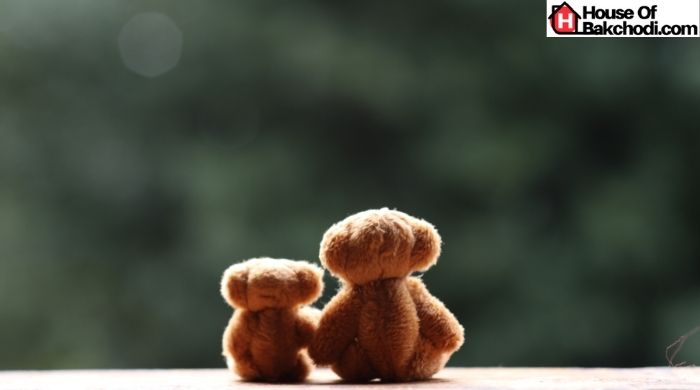 Is a Teddy Bear a Suitable Gift for a Girls